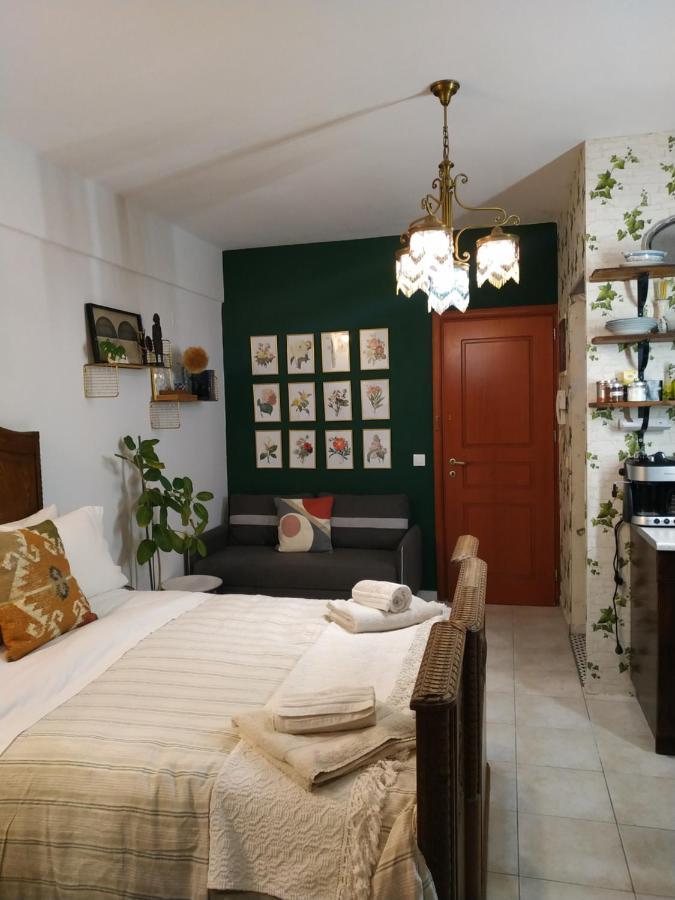 Studio 21 كاندية المظهر الخارجي الصورة